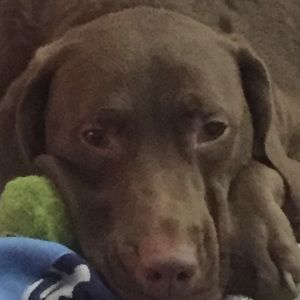 Meet your Posher, Jacob